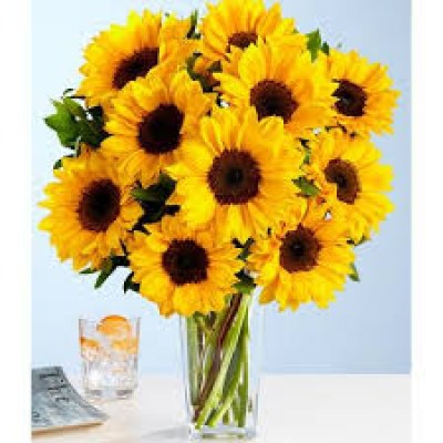 12-sunflowers